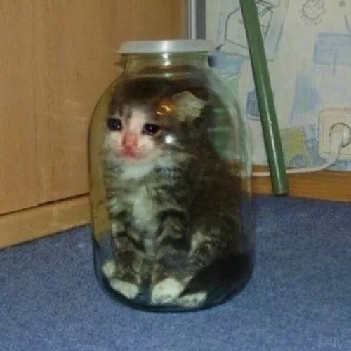 Hình meme vui buồn rầu nhắc đến tâm trạng rỗng và day dứt