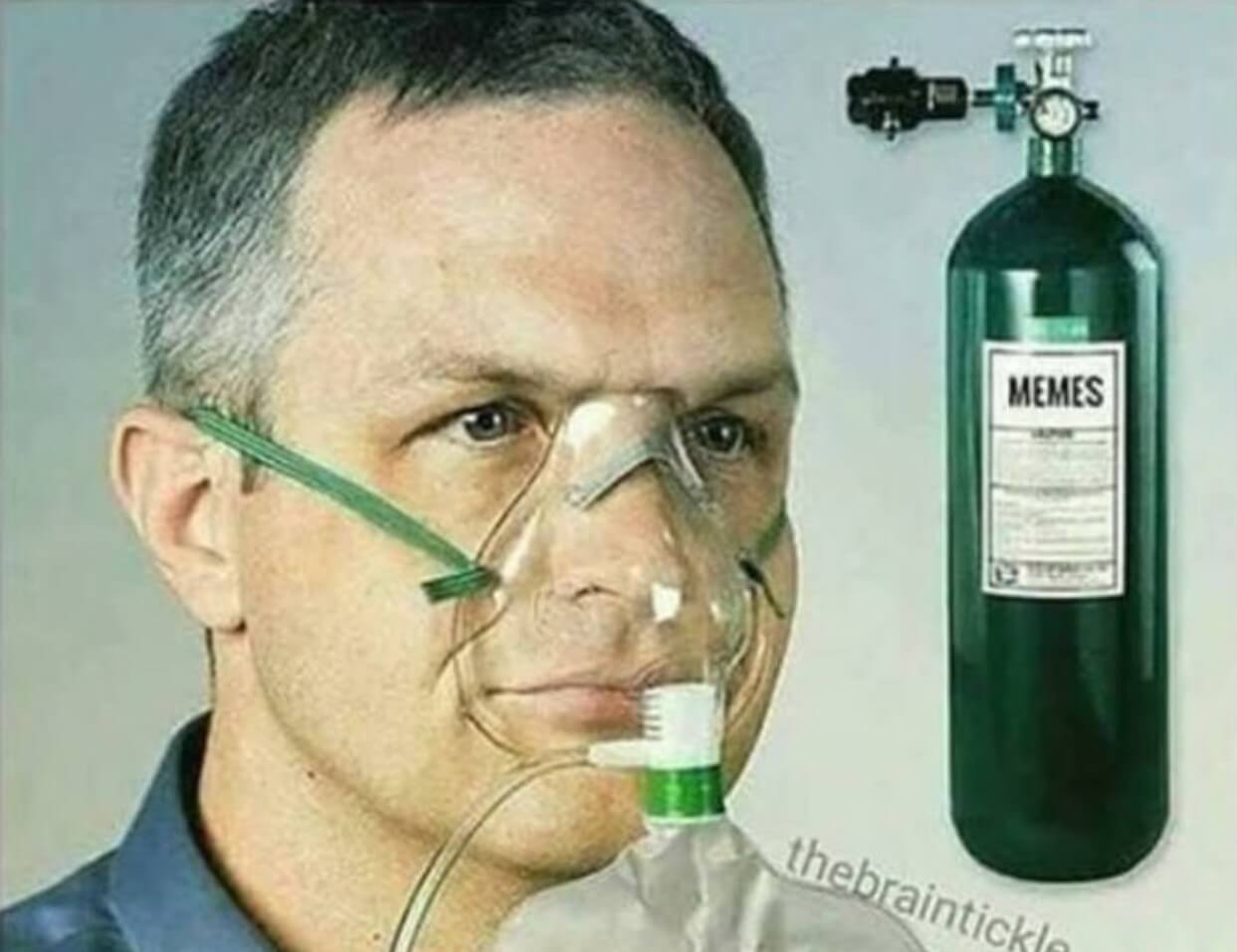 Meme chết mất cần cấp cứu khi bị bắt nạt