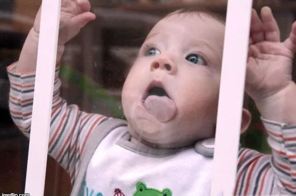 BST Ảnh Meme Liếm Từ Màn Hình Đến Điện Thoại Khiến Bạn Cười Nghiêng Ngả