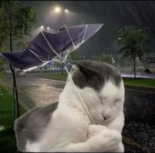 Ảnh vui bựa nhẹ gợi trò cà khịa trong hội nhóm