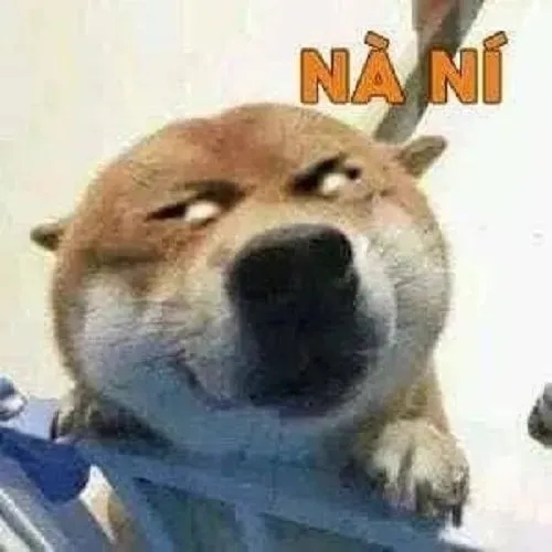 Meme chế mèo trợn tròn mô tả cảm xúc thay đổi rất nhanh