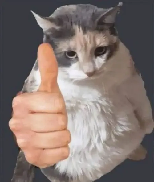 Ảnh chế miu diễn tả ánh mắt hiền gửi lời tri ân