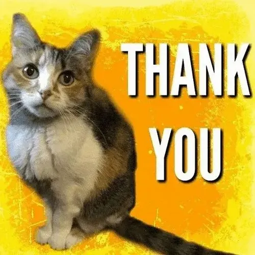 Ảnh troll miu mô tả mặt dịu nhẹ cùng cái gật mỏng