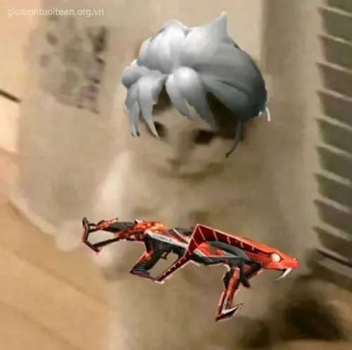 Ảnh vui mèo chiến gườm gườm dùng chân mèo giữ súng.