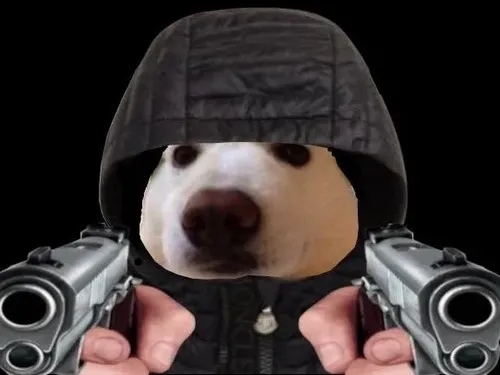 Hình troll mèo căng dùng ánh nhìn đòi quyền lợi.