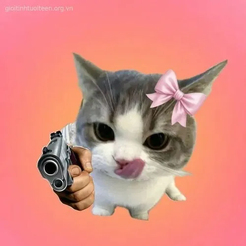 Meme hài mèo hầm hầm phô ra thế trận qua tư thế đứng.