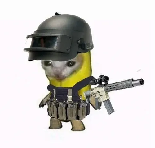 Ảnh chế mèo cầm súng đồ chơi giữ khoảng cách.