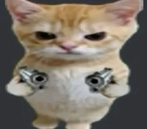 Khoảnh khắc mèo vàng ta thủ thế như lính canh mini