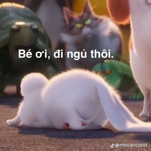 Meme chế mèo phản ánh dáng nằm cuộn tròn