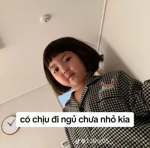 Ảnh chế mèo chạm tới tư thế cuộn tròn thư giãn