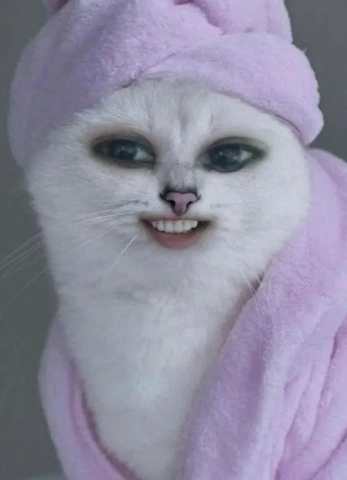 Meme hài mèo hớn hở hé miệng cho lộ gò má phồng duyên