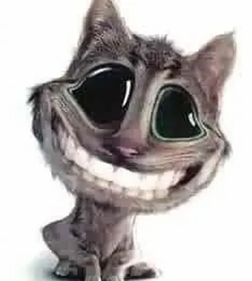 Ảnh troll mèo tủm tỉm hé môi mỏng làm sáng khuôn mặt