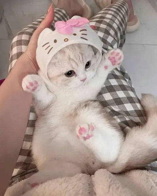 Ảnh hài bé cưng nhấn chi tiết mắt bi ve trong trẻo