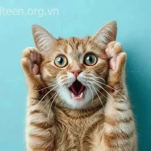 Hình chế meme vui miệng mở lớn liên hệ cú phản ứng mạnh