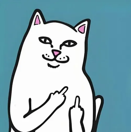 Khoảnh khắc mèo thách thức phản ánh đôi mắt khó ở rõ rệt.