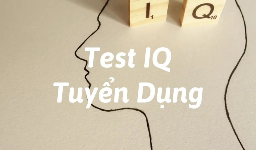 PDF Bộ 30 câu hỏi test IQ tuyển dụng có đáp án