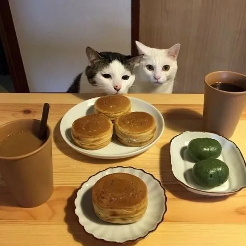 Bé cưng chồm cả người lên bàn, muốn ôm luôn miếng gà vì nó quá thơm.