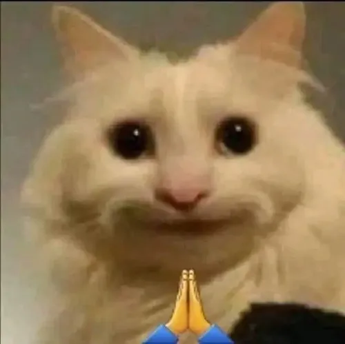 Ảnh vui mèo chịu thua gắn tiếng thở dài nhẹ