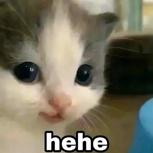 Hình chế meme vui cười gằn liên hệ phản ứng khinh bỉ trong thần thái láo cá