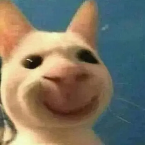 Bộ ảnh cười nửa miệng cho khoảnh khắc cần chút sắc thái khinh khỉnh vui