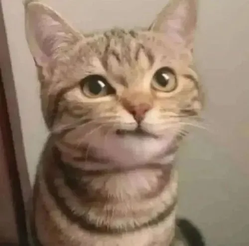 Khóe môi cong nhẹ mang cảm giác đắc thắng đầy tinh nghịch và duyên ngầm