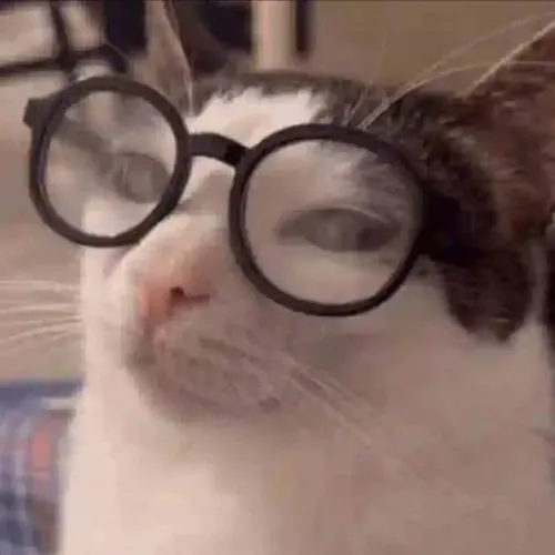 Ảnh chế mèo nhà ngúng nguẩy vì nghe câu gọi không đúng ý