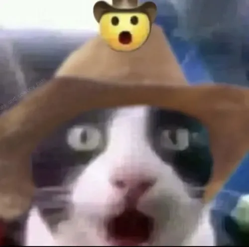 Meme mèo hoảng sợ thể hiện tai dựng thẳng căng như báo động