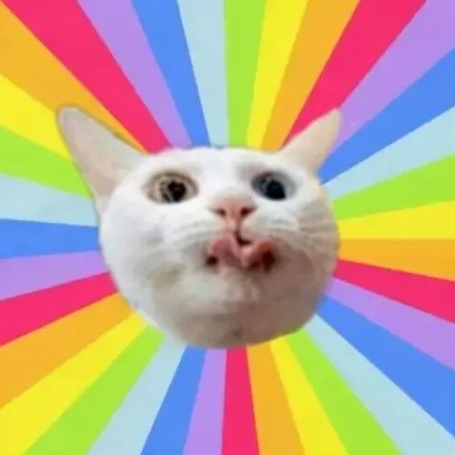 Ảnh meme vui boss mô tả hành vi chải lông xen lưỡi ló nhẹ