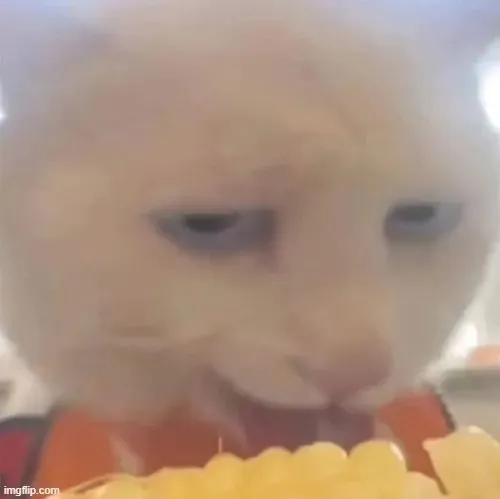 Meme mèo lè lưỡi khi bạn chẳng biết đáp lại lời ai