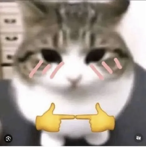 Khoảnh khắc mèo hay nêu đôi mắt cụp thẹn nhẹ rất thật