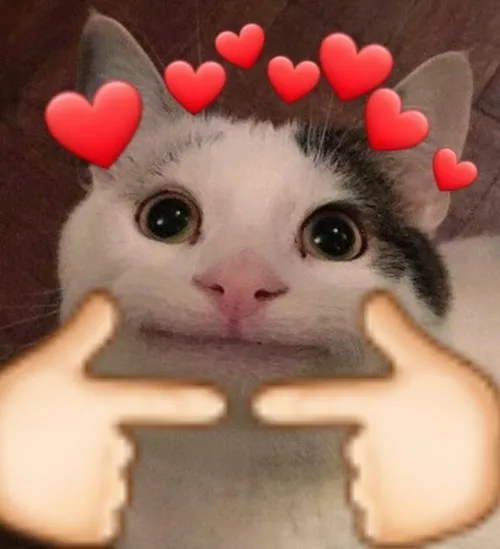 Ảnh meme vui boss lông liên quan mặt cúi xuống tránh giao tiếp