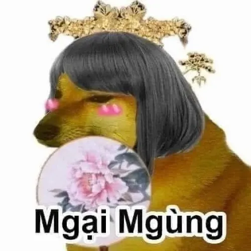 Meme hài cheems ngại ngùng tạo cảm giác rụt rè dễ thương