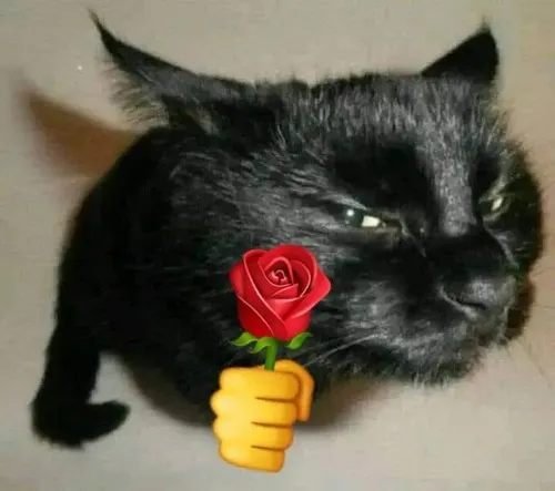 Ảnh chế boss nhỏ ôm bó hoa nhỏ giữa khung cảnh phòng.