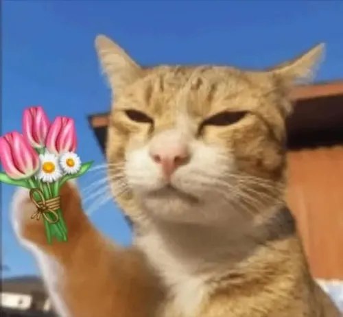 Meme boss nhỏ tặng hoa dùng để thả thính nhẹ mà duyên