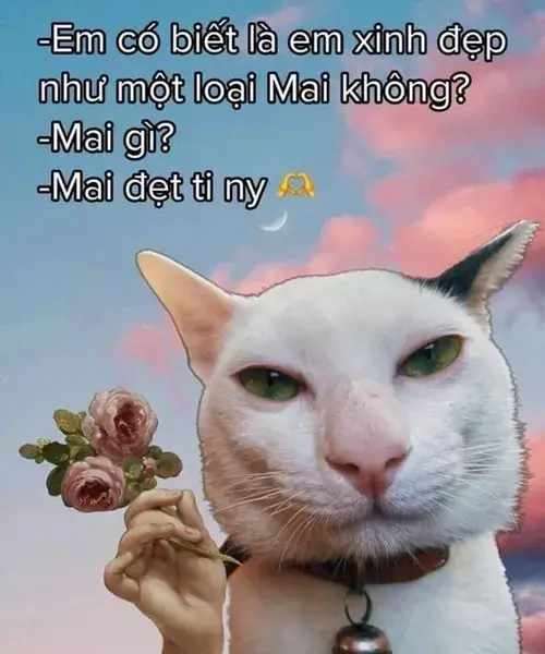 Meme chế boss nhỏ phô diễn đôi mắt tròn mượt mà