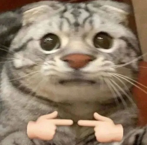 Ảnh troll cà chớn lan pha lố giữa cuộc trò chuyện