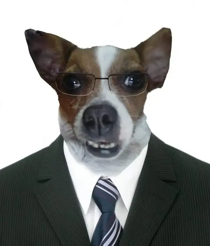 Ảnh troll chó sang trọng khí chất mô phỏng con người như doanh nhân nhỏ