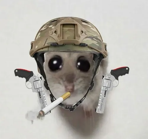 Meme chế hamster ngơ mặt tròn phồng nhẹ như chưa hiểu chuyện gì