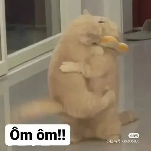 Ảnh chế chuột cảnh má phồng tạo biểu cảm lệch pha