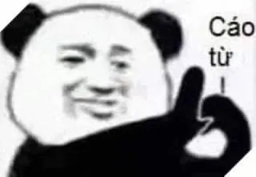 Gấu trúc meme: Các biến thể nổi bật từ cute đến troll siêu mặn