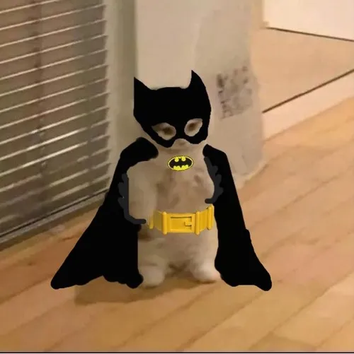 Meme Batman đối đầu Catwoman trên gờ tường