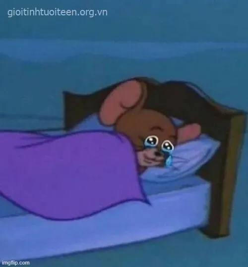 Tình huống sai lầm nhỏ xíu sẽ thêm vui khi ghép meme chuột khóc.