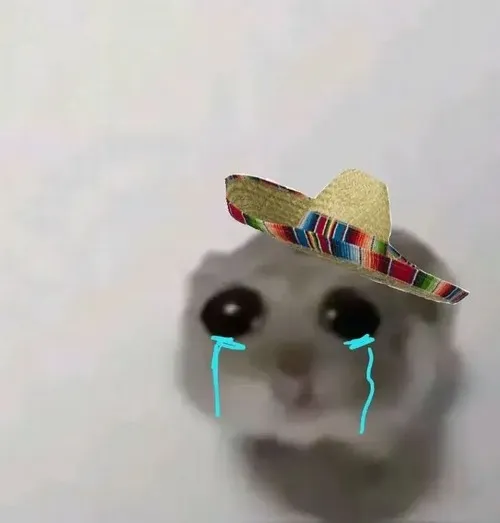 Meme chuột khóc bộc lộ nỗi lòng nhẹ mà thấm cho những khoảnh khắc dở khóc dở cười