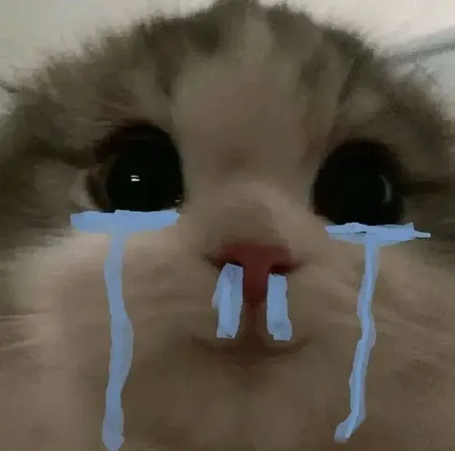 Khi lời than bất lực cần điểm nhấn, bộ meme chuột khóc tạo hiệu ứng nhanh.