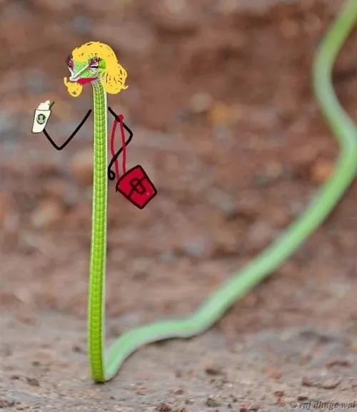 Meme troll xà gợi khí chất lạnh lùng thấm nhẹ.