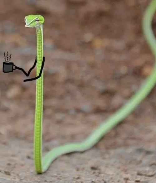 Ảnh vui xà gợi cảm giác bí ẩn nhờ sắc độ tối.