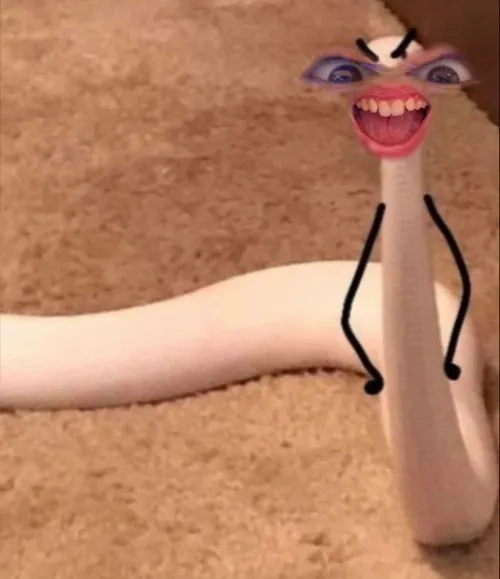 Meme vui rắn thể hiện cuộn vòng tạo sức ép.