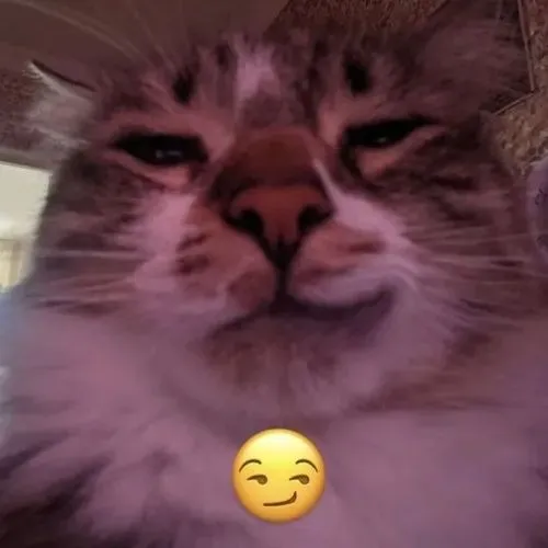 Hình chế meme vui biểu cảm cười gian xảo lộ khoảnh khắc thắng thế