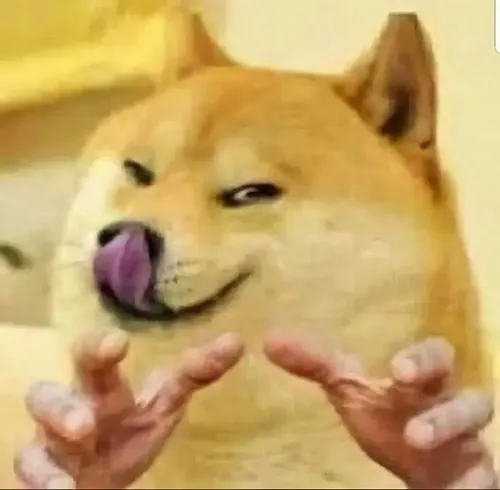 Meme Cheems cười đểu sâu cay khiến ai cũng chột dạ