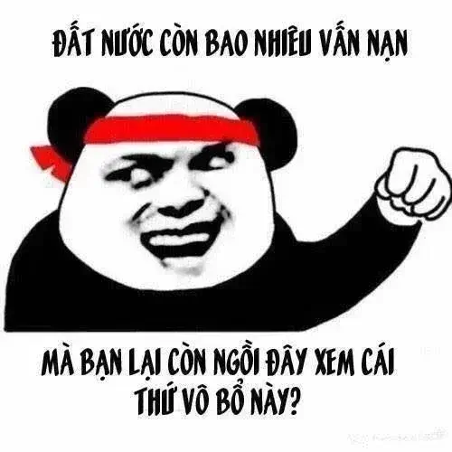 Cú nhếch mép gấu trúc Weibo hợp cảnh bạn muốn troll cho vui
